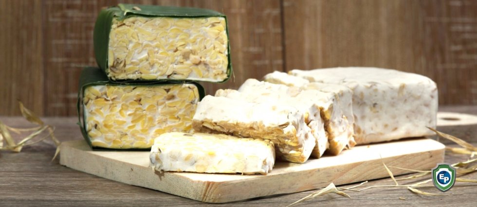 Tempeh tipped to be Indonesia’s next big export to US as market for meat alternatives grows