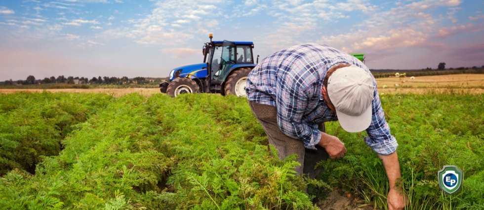 Lack of Full-Time Labor is Giving European Farmers a Headache