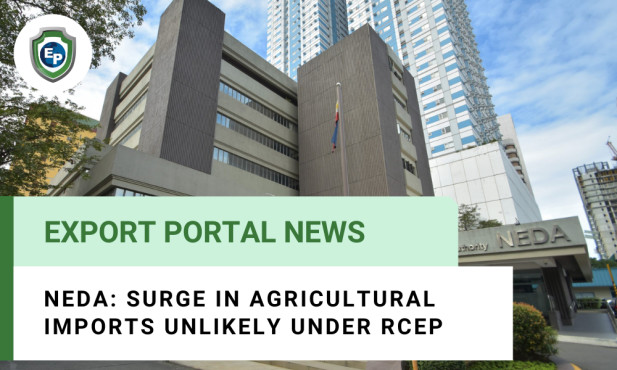 NEDA: Surge in Agricultural Imports Unlikely Under RCEP