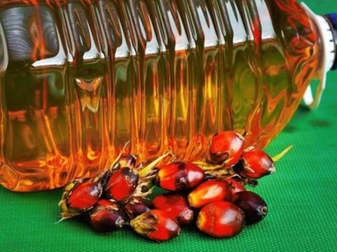 Crude Palm Oil, Palm Kernel Oil and Refined Palm Oil