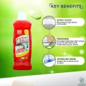 Heena Disinfectant Bathroom Cleaner Liquid 500 ML