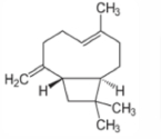 Clove Terpenes - Van Aroma (CL-477)