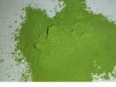 Drumstick leaves powder