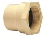 CPVC Female Threaded Adapter (FTA)