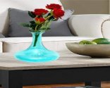 Craftfry glass Flat Bottom Shape Flower Vases