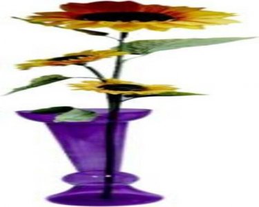 Craftfry European Culture Flower Glass Vase (24 inch, Purple)