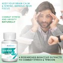 Nutrigrams Zero Stress- Anti-stress Supplement, Reduces Mood Swings