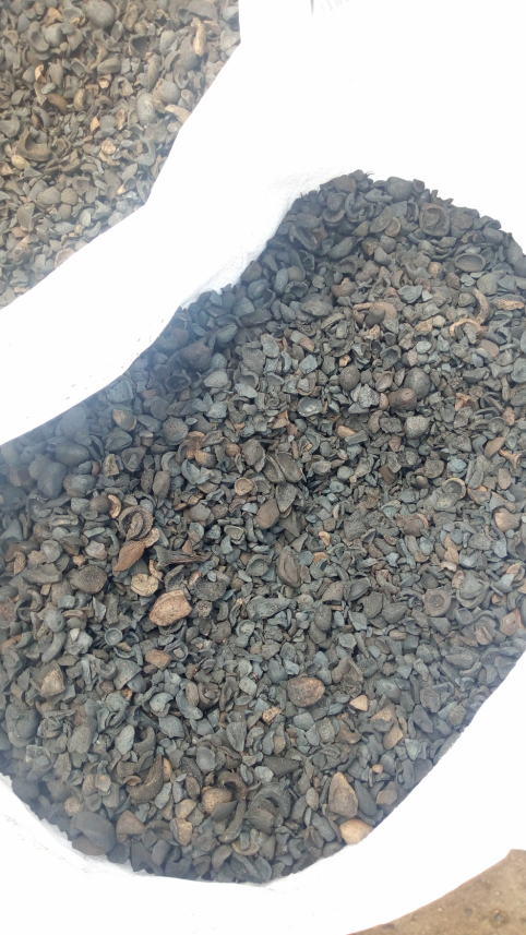 Palm kernel Shells