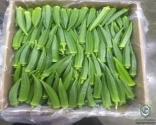 Okra