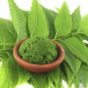 Neem Dry Extract (5- 20%) Bitter