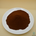 Acacia-Catechu Extract 20%