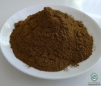 Coleus Forskohliin Extract (Forksolin 10%)