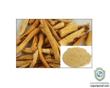 Asparagus Racemosus Extract (Shatavari) 20%