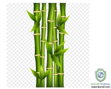 Bamboo Extract