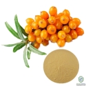 Seabuckthorn Extract Powder