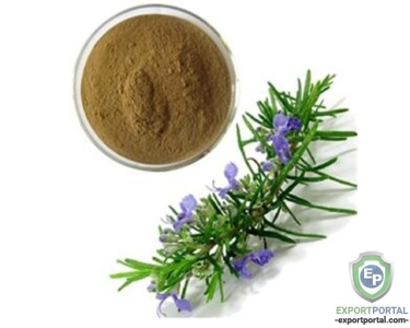 Organic Rosemary Powder