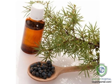 Juniper Oil