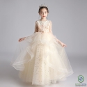 Girls Party Dress Fluffy Birthday Gown Customized Color Sample