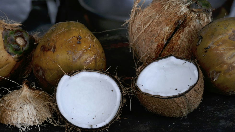 India's Coconut Export: A Gateway to Global Prosperity